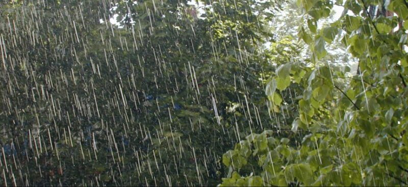 Inestabilidad, lluvias y ascenso de temperaturas en Misiones 3 Viernes 25: más cálido pero con lluvias y posibles tormentas en Misiones