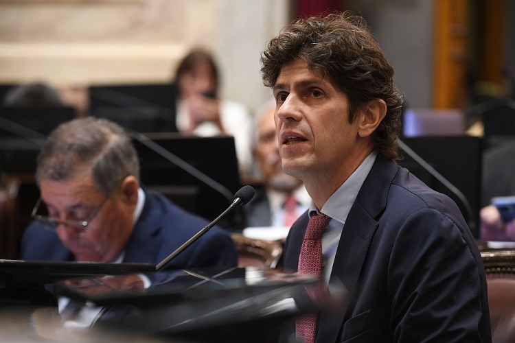 Senado | Arce y Rojas Decut sumaron al quorum para votar la Ley Bases 6 Lousteau - 5
