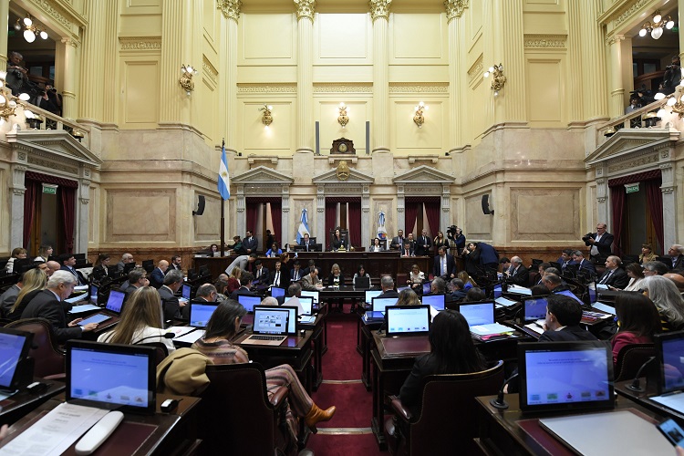 RIGI | Advierten que el proyecto aprobado permite a los inversores llevarse las ganancias en dólares, sin liquidarlas en Argentina 3 Recinto Senado sesion ley Bases - 2