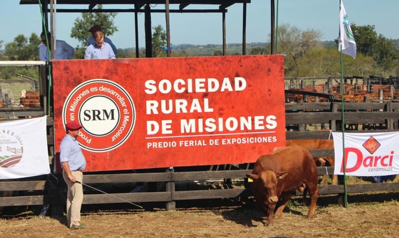 Sociedad Rural de Misiones | “Estamos preparando el campo para abrir sus tranqueras a la Gran Expo 2024” Sociedad Rural de Misiones - 7