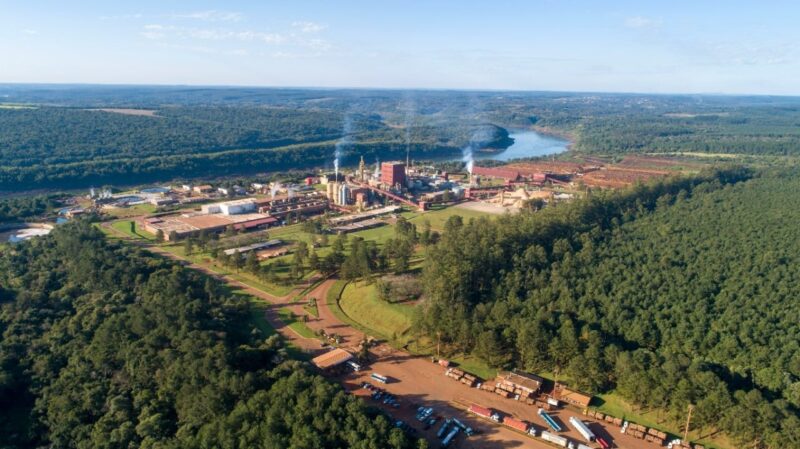 Medioambiente | Productores denuncian el incumplimiento de la ley de expropiación a Arauco Arauco