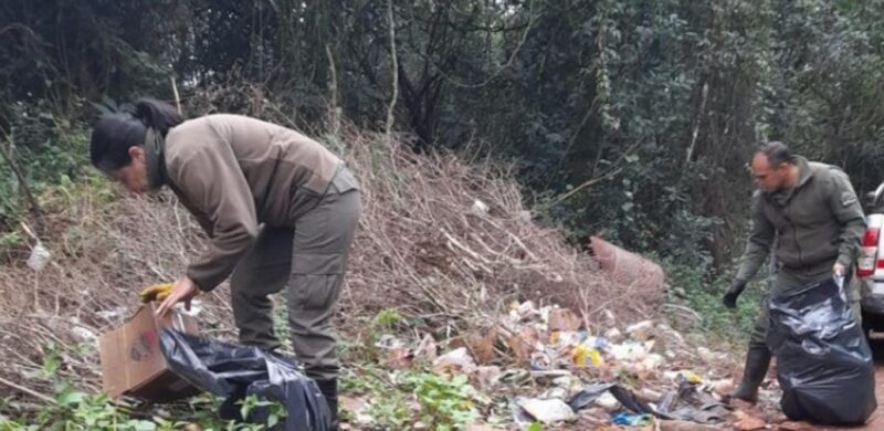 Misiones | Recolectaron más de 1300 kilos de basura en el Parque Provincial Araucaria araucaria 1 - 5