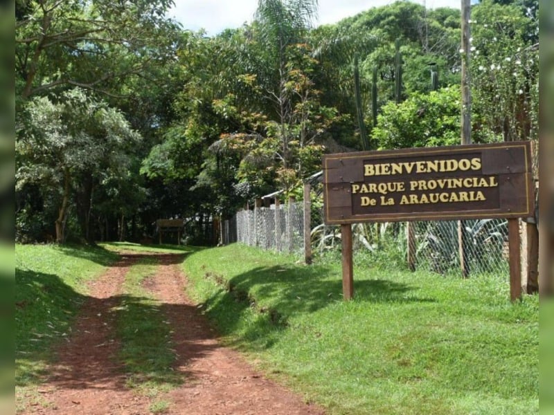 Misiones | Recolectaron más de 1300 kilos de basura en el Parque Provincial Araucaria 6 araucariass 2 - 5