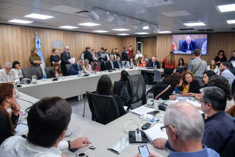 comision educacion servicio esencial finocchiaro carlos fernandez diputados de la nacion 13 6 24 2 - 1