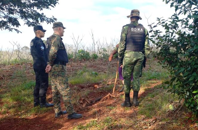 Buscan en el centro de Misiones a un puma que mata a animales de zonas rurales en forma conjunta - 6