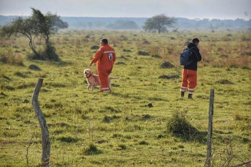 Búsqueda del niño en Corrientes | Dictaron la prisión preventiva de los tres adultos que lo vieron por última vez 3 image 1 31 - 2