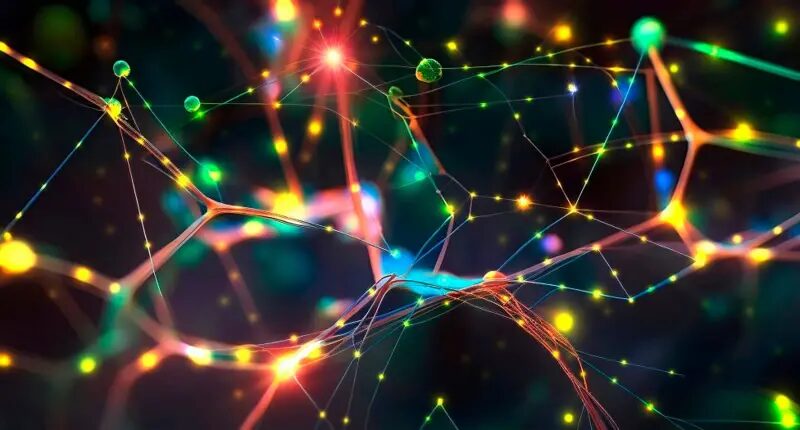 ¿Qué pasa con el cerebro en el instante de morir? Una neurocientífica investiga al cerebro moribundo 7 image 1 38 - 6