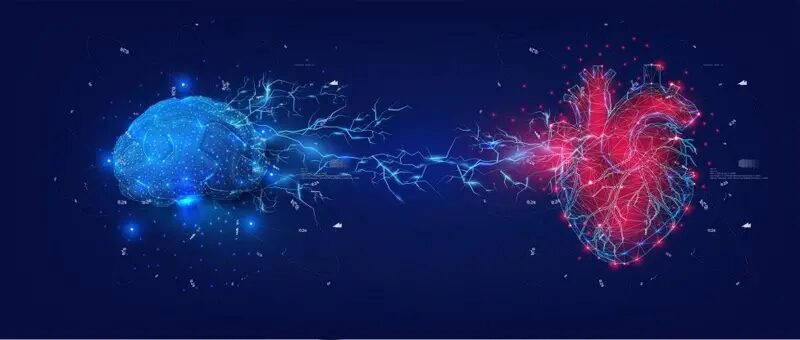 ¿Qué pasa con el cerebro en el instante de morir? Una neurocientífica investiga al cerebro moribundo 9 image 1 39 - 8