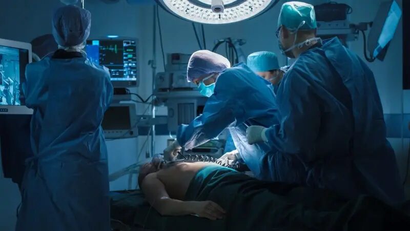 ¿Qué pasa con el cerebro en el instante de morir? Una neurocientífica investiga al cerebro moribundo 15 image 1 44 - 14