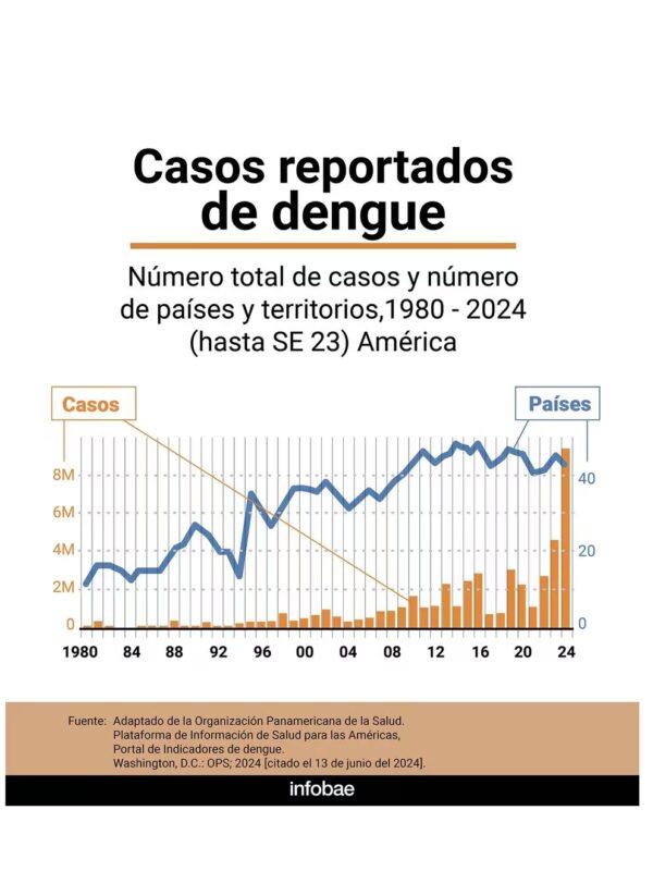 Dengue en América Latina en 2024 | Casos récord, proyecciones y necesidad de enfoque multidisciplinario 5 image 3 22 - 4