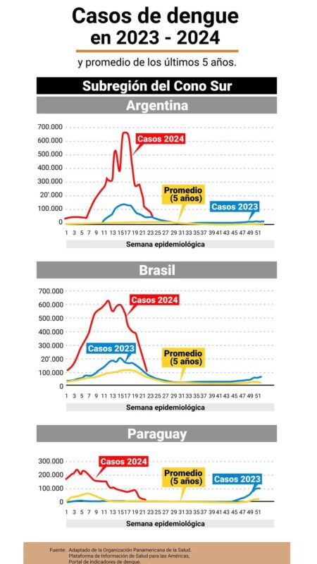 Dengue en América Latina en 2024 | Casos récord, proyecciones y necesidad de enfoque multidisciplinario 7 image 3 23 - 6