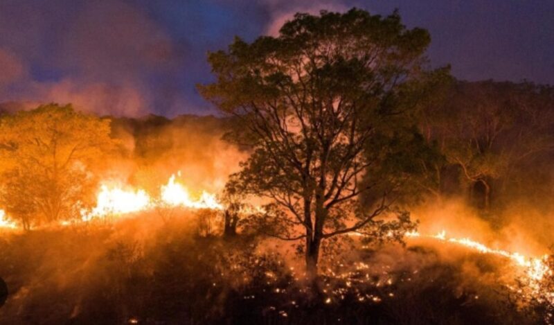 Misiones al rojo | Índice de peligrosidad de incendios extremo en la provincia incendios 1 - 1
