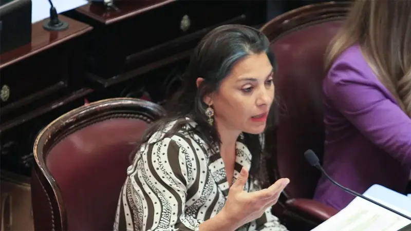 Senado | Arce y Rojas Decut sumaron al quorum para votar la Ley Bases 4 lucila - 3