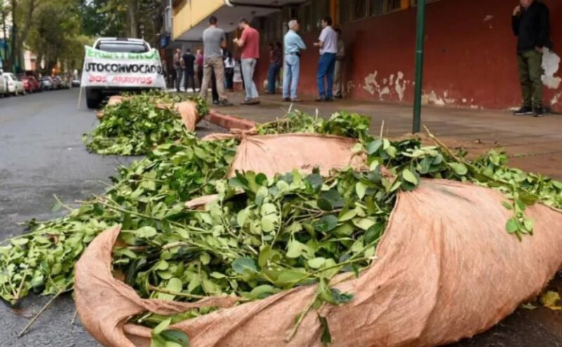 Conflicto yerbatero | “Nos convocan a reuniones y no nos reciben, buscan que nos cansemos” yerba - 1