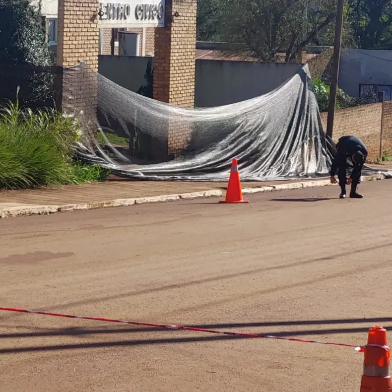 Colonia Liebig | El día comenzó con un enorme puma durmiendo en la puerta del Centro Cívico 9 1376233w790h790c.jpg - 8