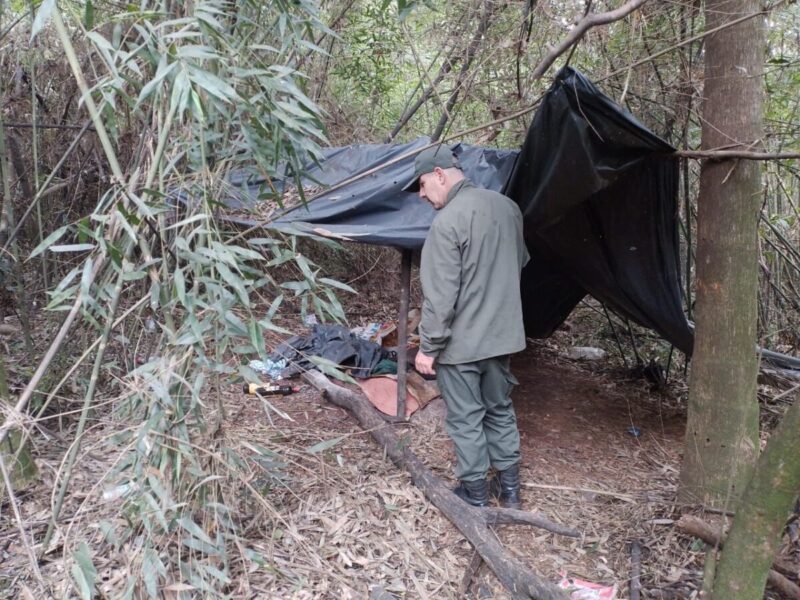 Misiones | Hallan y desarticulan campamento de cazadores furtivos en el Parque Provincial Puerto Península WhatsApp Image 2024 07 08 at 10.18.56 AM 1 1200x900 1 - 3