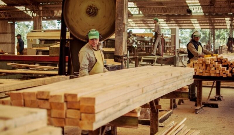 Contracción de la economía | “Las PYMES madereras necesitan apoyo urgente para competir y sobrevivir” pymes madereras