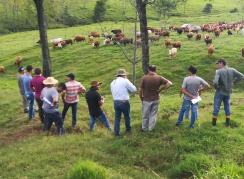 Producción | “Sin el glifosato mucha producción misionera no podrá seguir”, sostuvo Cristian Da Rosa 5 agro - 4