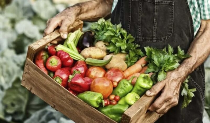 Alimentos | En junio, la brecha de precios entre la chacra y la mesa, fue 3,3% alimentos 1 - 6