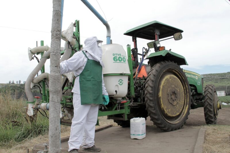 Salud | “El uso de glifosato adecuado y con los cuidados pertinentes no genera daño”, sostiene especialista 4 campo - 3