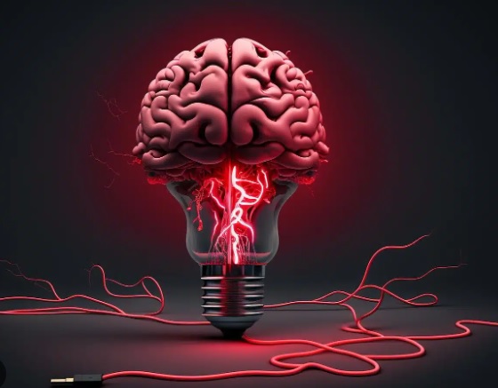 Sabes que es el día mundial del cerebro? 4 cerebro2 - 3