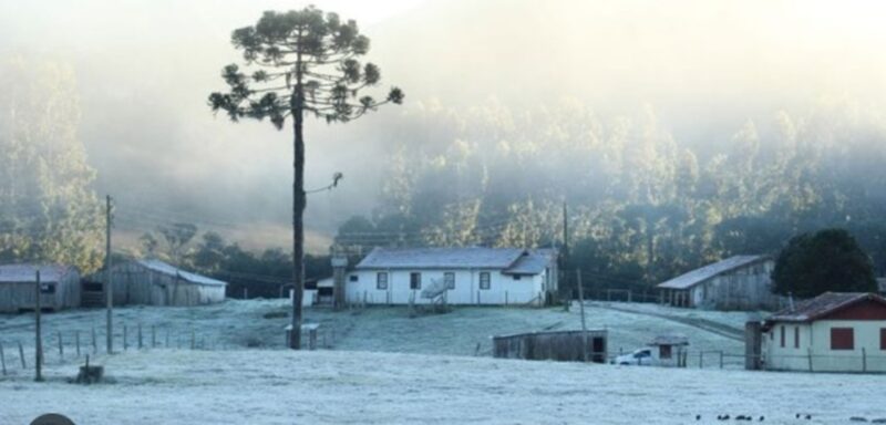 frio polar