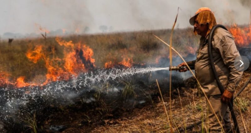 Corrientes | Alerta por varios focos de incendios forestales en diferentes zonas de la provincia fuego2 - 5
