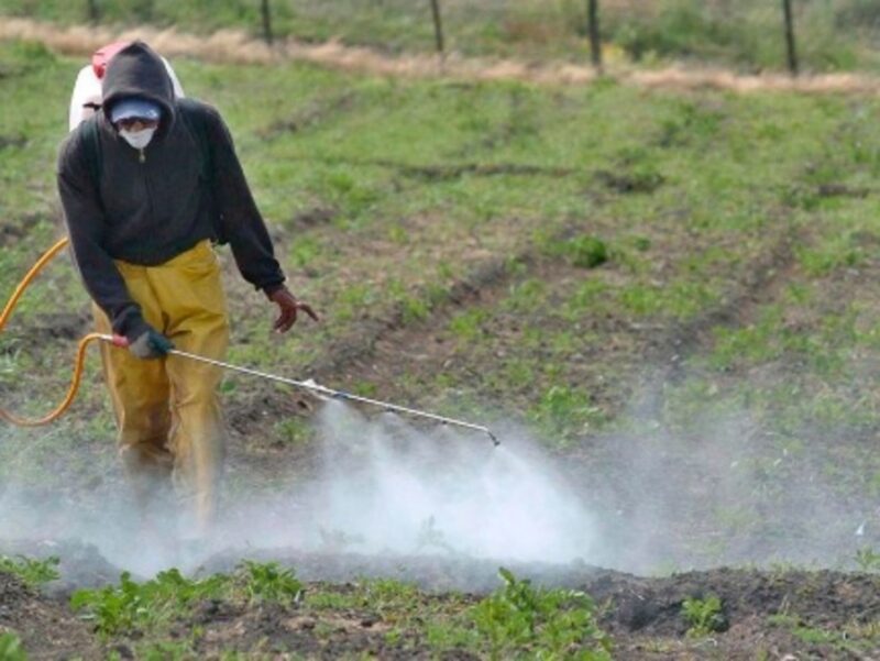 Polémica por el uso del glifosato | "Cometieron un error y ahora están tratando de resolverlo” 4 glifosato 1 - 3