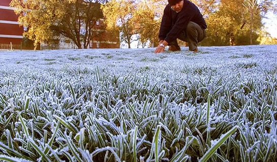 San Javier registraría la mínima más baja con 0 °C y sensación térmica de -2 °C, mientras que Puerto Iguazú volverá a tener la máxima provincial con 16 °C.