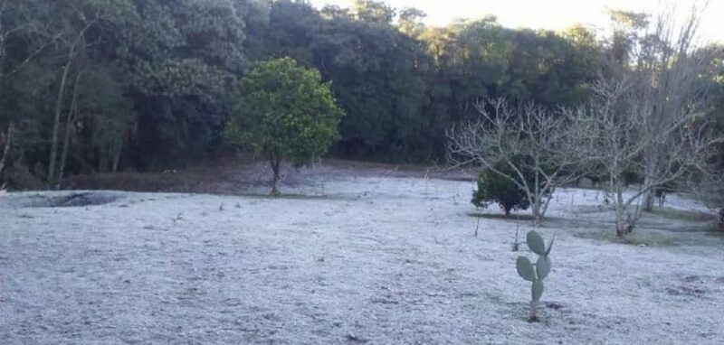 Llega el frío a Misiones: cambios bruscos desde el miércoles 5 Viernes 18: amanecer helado y cielo despejado