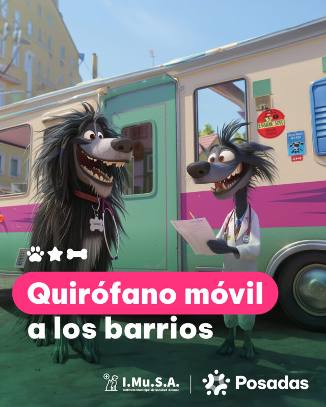 Mascotas | Continúan los operativos de castración animal en los barrios de Posadas 5 imusa - 4