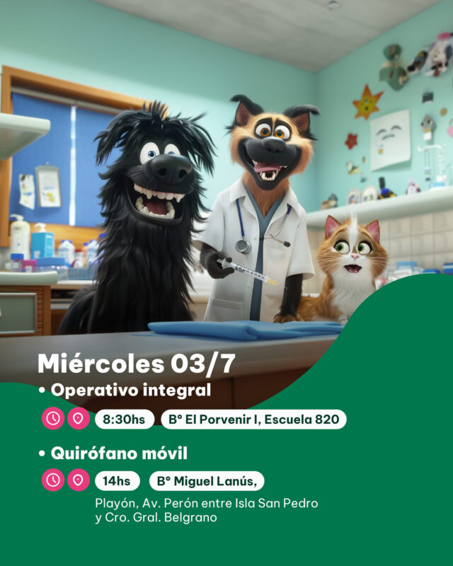 Mascotas | Continúan los operativos de castración animal en los barrios de Posadas 7 imusa2 - 6