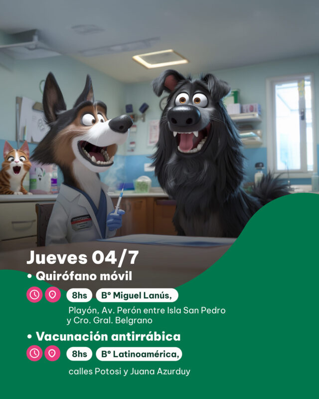Mascotas | Continúan los operativos de castración animal en los barrios de Posadas 9 imusa3 - 8