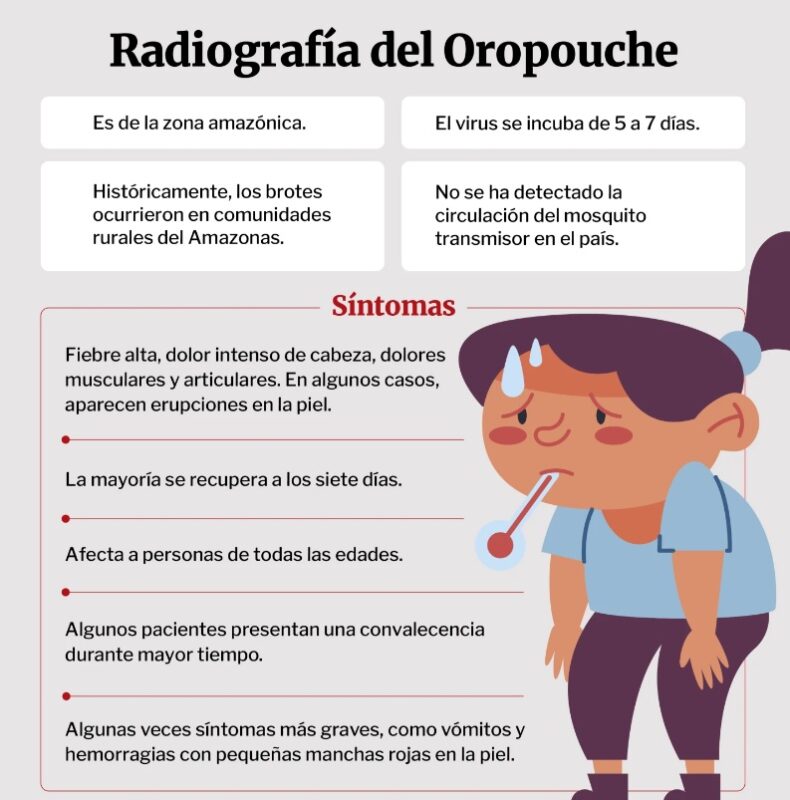 Brasil | Confirman las primeras muertes por fiebre de Oropouche, otra enfermedad transmitida por mosquitos 3 mosquitoos - 2