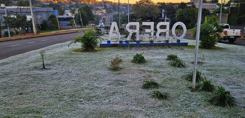 Frio intenso | Amanecer con heladas en toda la provincia, algunos cuidados para las plantas del hogar 5 obera - 4