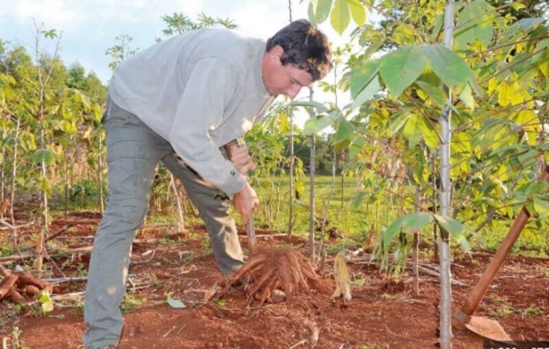 “La sequía y la falta de lluvia va a complicar a la producción en los próximos meses” sostienen desde el INTA sequia 1 - 5