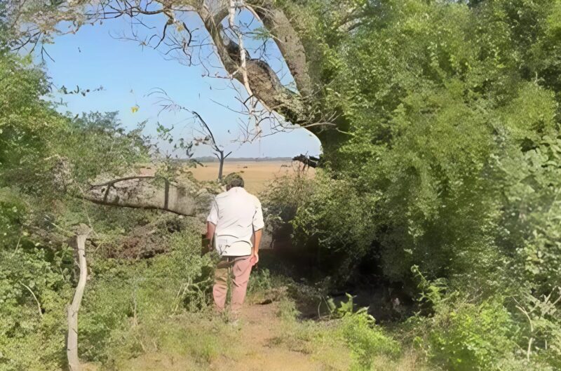 Caso Loan | La querella cree saber por dónde se llevaron al menor desde el naranjal snapedit 1720002335834 - 3