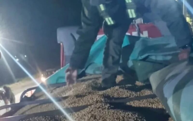 Corrientes | Incautaron 125 toneladas de granos de soja valuados en más de $140 millones soja 1 - 9