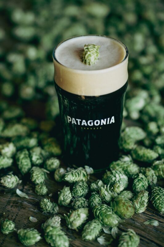 Semana de la IPA en los Refugios de Cerveza Patagonia 2 Black IPA Cerveza Patagonia - 1