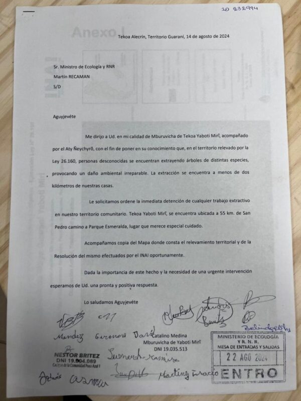 Reserva Biósfera Yabotí | Nueva denuncia por apeo ilegal dentro del monte 3 WhatsApp Image 2024 08 26 at 17.55.59 768x1024 1 - 2