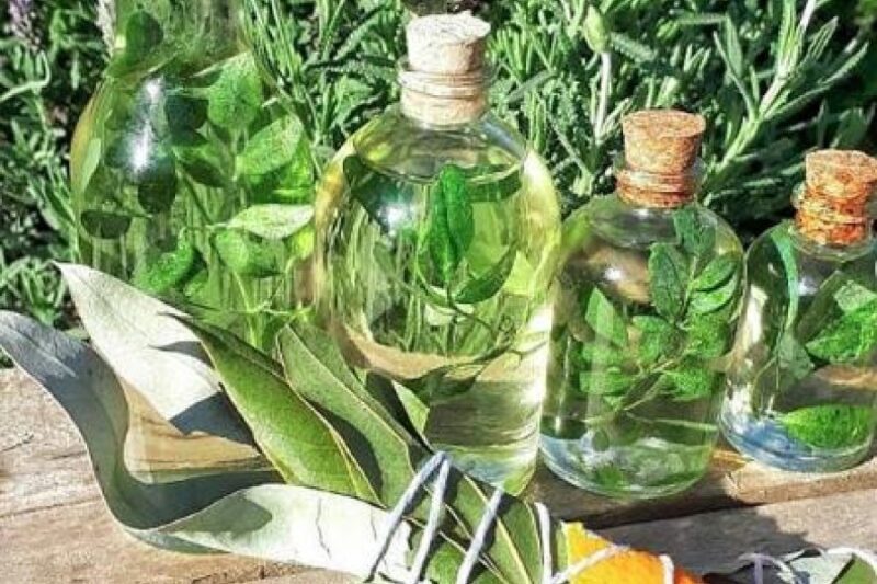 Tradición | La caña con ruda, un sortilegio para acompañar los últimos meses del año cana - 3