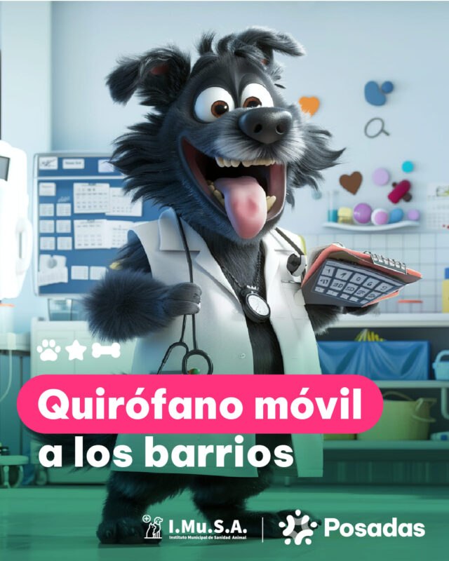 Posadas | El IMUSA retoma los operativos de quirófano móvil en los barrios 2 imusa 1 - 1