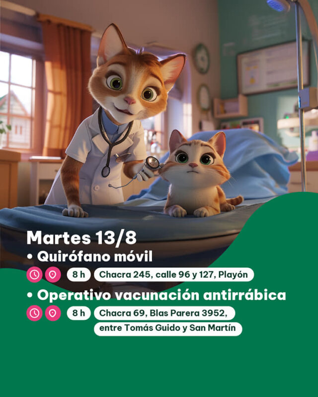 Posadas | El IMUSA retoma los operativos de quirófano móvil en los barrios 4 imusa 2 - 3
