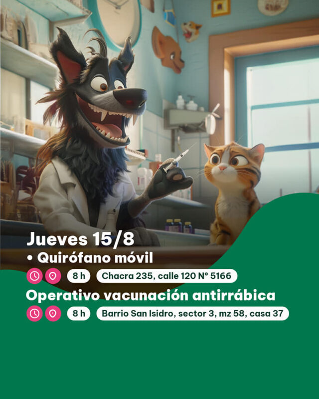 Posadas | El IMUSA retoma los operativos de quirófano móvil en los barrios 8 imusa 4 - 7