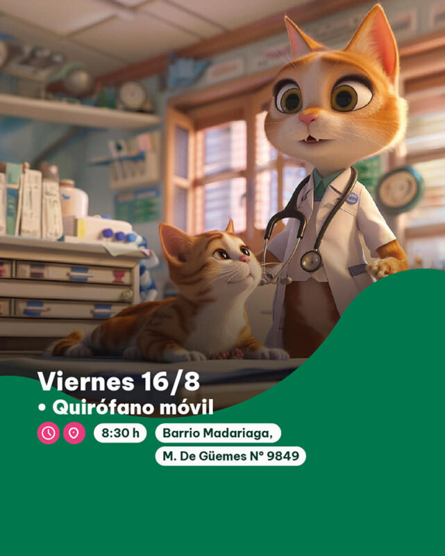 Posadas | El IMUSA retoma los operativos de quirófano móvil en los barrios 10 imusa 5 - 9