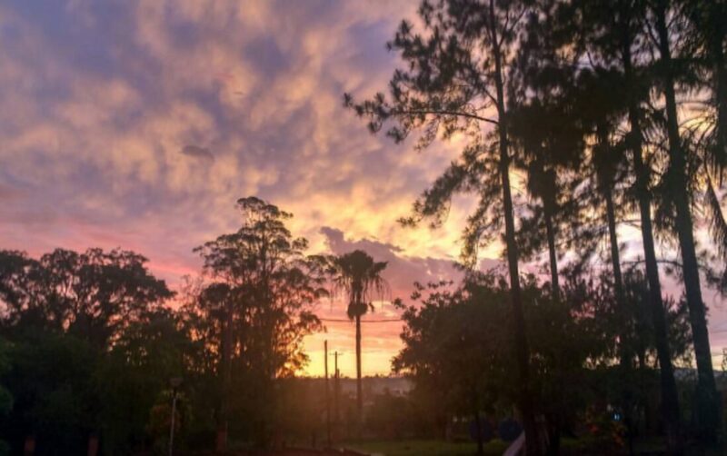 El tiempo en Misiones | Jueves ventoso y ocasionales tormentas en la provincia jueves 1 - 2