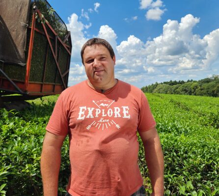 Té | “Muchos productores están vendiendo sus chacras para sobrevivir”, alertó el productor Fabián Labán 3 laban - 2