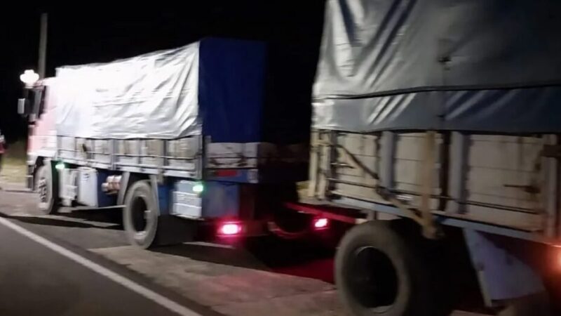 Corrientes | Incautaron una carga de 45 mil kilos de soja transportada sin documentación soja - 6