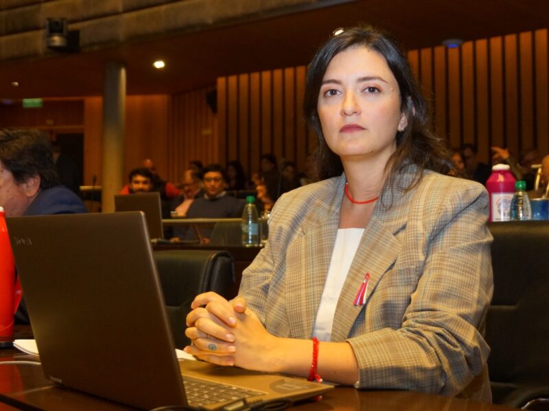 Ley Mordaza | Publicaron la norma y llamaron a concurso para el cargo de fiscal especializado en cibercrimen 6 Anazul Centeno diputada renovadora - 5