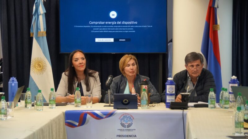 Presupuesto 2026: “En términos de ajuste, vamos a tener el mismo que el del 2025” vaider presupuesto docentes jubilados